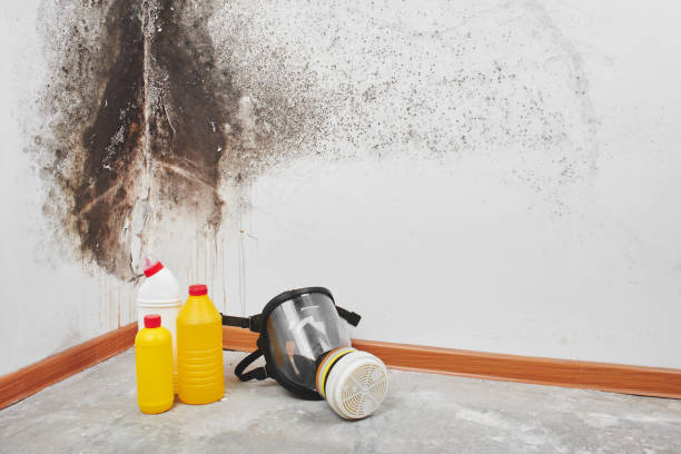 Best Emergency Mold Removal  in Mulino, OR