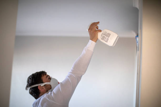 Best Toxic Mold Removal  in Mulino, OR