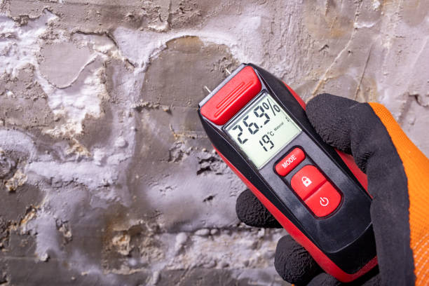 Best Fast Mold Removal  in Mulino, OR