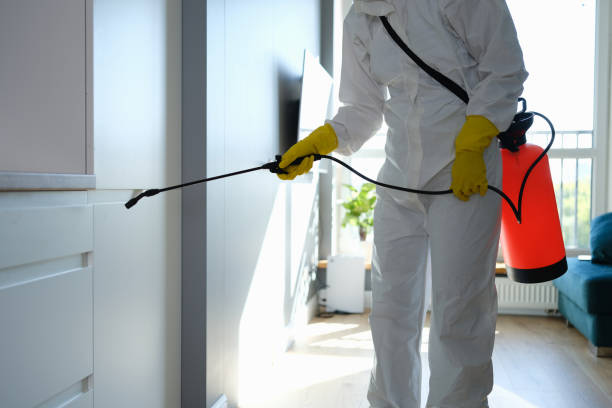 Mold Removal and Inspection in Mulino, OR
