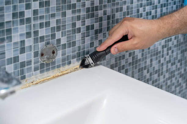 Best Attic Mold Removal  in Mulino, OR