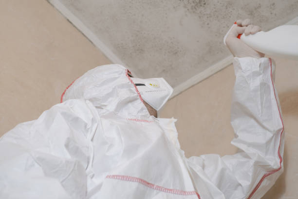 Best Certified Mold Removal  in Mulino, OR