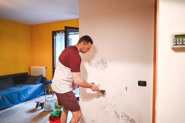 Best Mold Damage Repair  in Mulino, OR