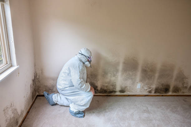 Best Crawl Space Mold Removal  in Mulino, OR